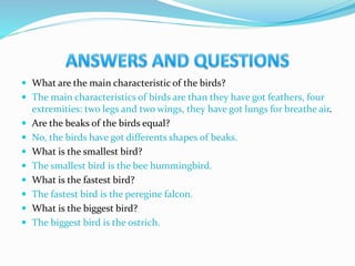  What are the main characteristic of the birds?
 The main characteristics of birds are than they have got feathers, four
extremities: two legs and two wings, they have got lungs for breathe air.
 Are the beaks of the birds equal?
 No, the birds have got differents shapes of beaks.
 What is the smallest bird?
 The smallest bird is the bee hummingbird.
 What is the fastest bird?
 The fastest bird is the peregine falcon.
 What is the biggest bird?
 The biggest bird is the ostrich.
 