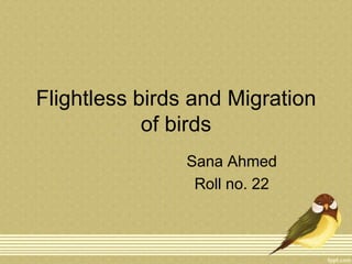 Flightless birds and Migration
of birds
Sana Ahmed
Roll no. 22

 