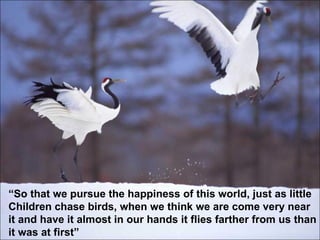 Birds quotes