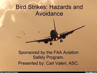 Bird Strikes: Hazards and Avoidance Sponsored by the FAA Aviation Safety Program. Presented by: Carl Valeri, ASC. 