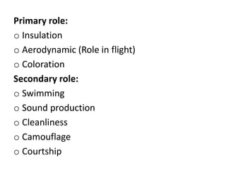 Primary role:
o Insulation
o Aerodynamic (Role in flight)
o Coloration
Secondary role:
o Swimming
o Sound production
o Cleanliness
o Camouflage
o Courtship
 