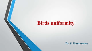 Birds uniformity
Dr. S. Kumaresan
 