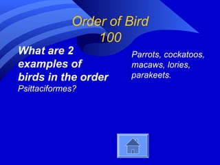 Bird test review | PPT