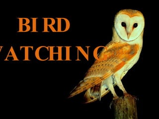 BIRD WATCHING 