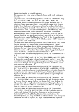 Tanagers and a wide variety of Flycatchers .
The maximum size of the group is 10 people for one guide while walking on
the trails.
[img=http://www.peruvianbirdingexpeditions.com/JUNGLE/DSC00991.JPG]
DAY 1.- CUSCO TO PILLAHUATA WAYQECHA BIOLOGICAL
STATION: We start at 5 a.m. and have our first stop at Huacarpay lake (30
min. from Cusco) where we will see a variety of high Andean birds. Here we
look for Wren-like Rushbird, Many-colored Rush-Tyrant, Puna Ibis, Andean
Gull, Andean Negrito, Aplomado Falcon, American Kestrel, Cinereous Harrier,
Variable Hawk, Black-Chested Buzzard-Eagle and Chilean Flamingo. The
impressive endemic birds around this lake are the Bearded Mountaineer,
Rufous-Fronted Canastero and Streak-Fronted Thornbird. After this stop we
continue the trip to Paucartambo town, where it is possible to see the Torrent
Tyrannulet on the edge of the Mapacho river. While driving through the Andes
we always stop, when we see some flock of birds. Acjanaco at 3560 meters is a
good place for lunch and to start
[url=http://www.peruvianbirdingexpeditions.com/] Bird Watching [/url] . down
the road. These are the common ones: Gray-breasted Mountain Toucan,
Andean Guan, Hooded and Scarlet Bellied Mountain Tanagers, White tufted
Sunbeam, Red and white Antpitta, Collared Jay, Mountain Cacique, and
different varieties of Flycatchers. We spend the night at Wayqecha Biological
station at 2900 msl. Doble room with share bathroom B.L.D.
[img=http://www.peruvianbirdingexpeditions.com/JUNGLE/catamaran%201.J
PG]
DAY 2.- EXPLORING AROUND WAYQECHA AND PILLAHUATA: Early
in the morning we explore the trails and walk along the road to try to see the
rarest Chestnut crested Cotinga and continuing increasing our birding list. The
camp site for the night is in Wayqecha Biological station at 2900 msl. Doble
room with share bathroom B.L.D.
[img=http://www.peruvianbirdingexpeditions.com/JUNGLE/hoatzines.jpg]
DAY 3.- WAYQECHA BIOLOGICAL STATION TO SAN PEDRO LODGE:
On this day we go down the road towards the cloudforest where the chances for
seeing birds are very high, especially for Tanagers, Redstars, Hummingbirds,
Flycatchers, Furnariids and others. The night is spent in a lodge with private
bathroom. B.L.D.
[img=http://www.peruvianbirdingexpeditions.com/JUNGLE/Imagen111.jpg]
DAY 4.- EXPLORING AROUND SAN PEDRO: Early in the morning we go
to observe - from the special platform - the famous Cock of the Rocks at the
lek, and afterwards we explore the trails increasing our birding list. Here it is
possible to see the Crested Quetzal and Golden headed Quetzal. The night is
spent in a lodge with private bathroom. B.L.D.
[img=http://www.peruvianbirdingexpeditions.com/JUNGLE/caiman.jpg]
DAY 5.- SAN PEDRO TO SOGA DE ORO LODGE: Continuing down the
road towards Atalaya (500m) we have the chance to see the Amazonian
Umbrellabird, Versicolored Barbet, Black and Chestnut Eagle and the
beautifull Quetzals, and many other birds of different species. From Atalaya we
take a short boat ride to Soga de Oro Lodge, where we spend the night with
 
