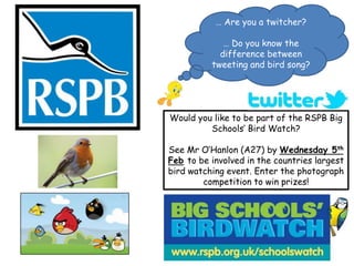 … Are you a twitcher?
… Do you know the
difference between
tweeting and bird song?
Would you like to be part of the RSPB Big
Schools’ Bird Watch?
See Mr O’Hanlon (A27) by Wednesday 5th
Feb to be involved in the countries largest
bird watching event. Enter the photograph
competition to win prizes!