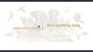 Bird watching India
 