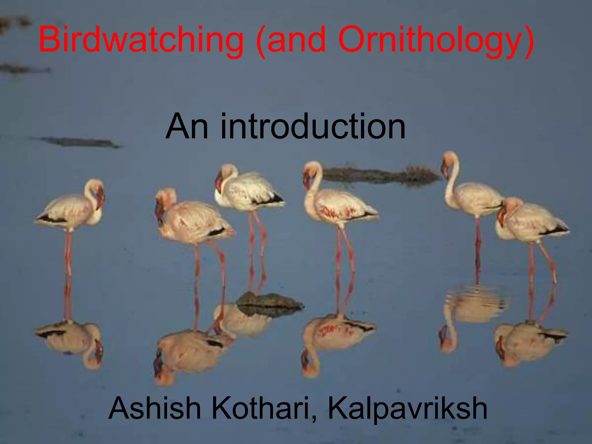 Birdwatching (and Ornithology)
An introduction
Ashish Kothari, Kalpavriksh
 