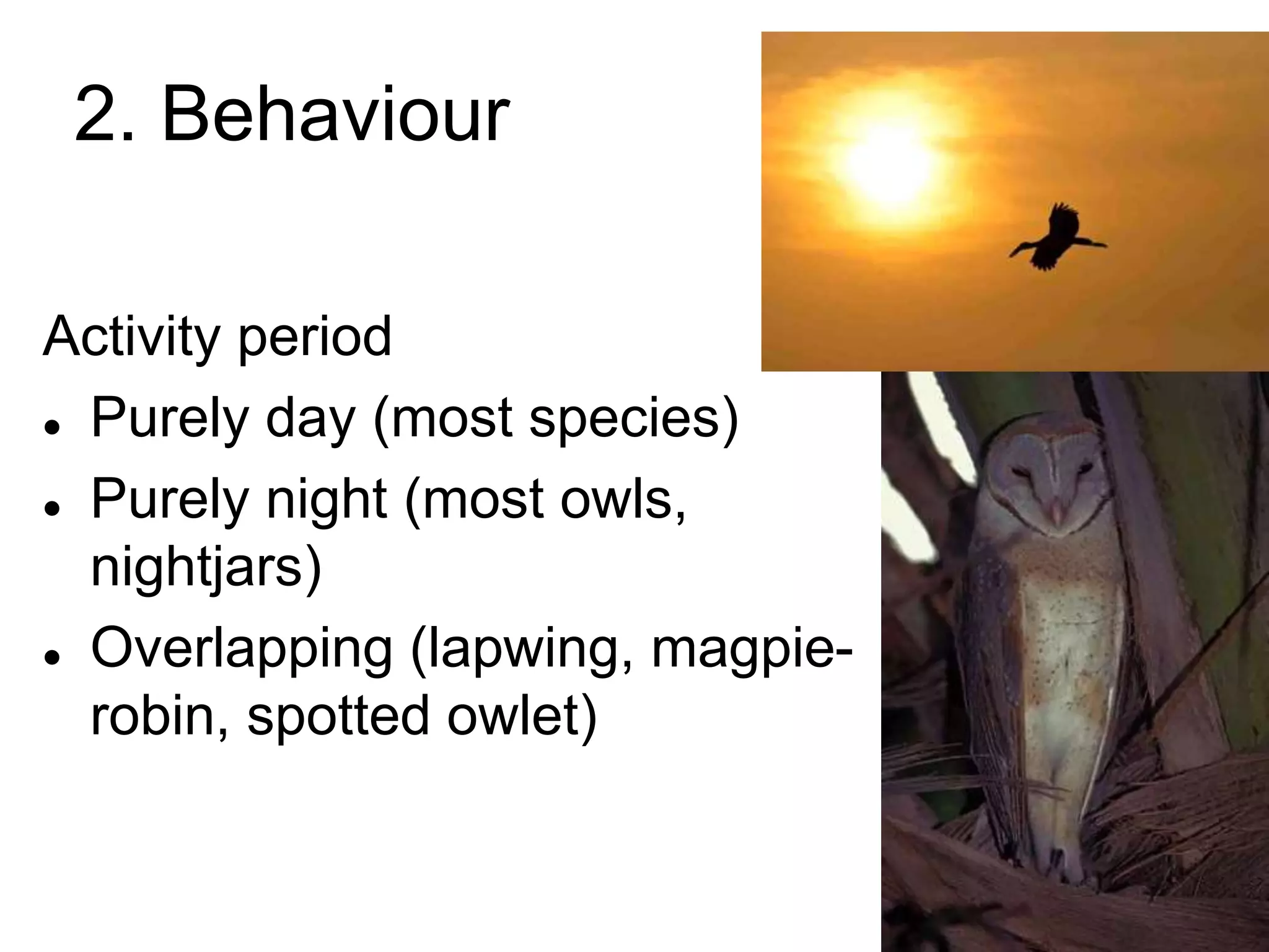 2. Behaviour
Activity period
 Purely day (most species)
 Purely night (most owls,
nightjars)
 Overlapping (lapwing, magpie-
robin, spotted owlet)
 