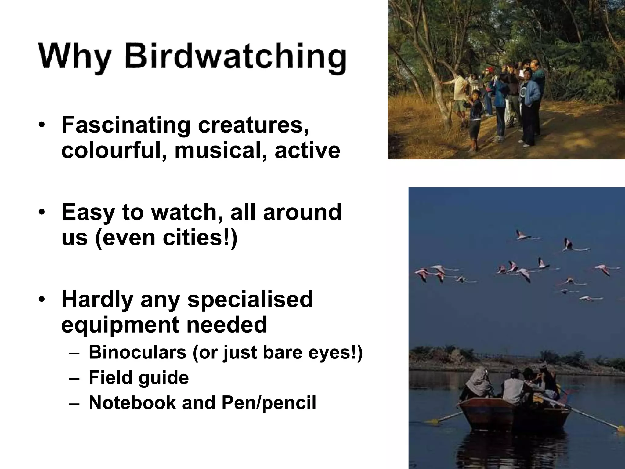 • Fascinating creatures,
colourful, musical, active
• Easy to watch, all around
us (even cities!)
• Hardly any specialised
equipment needed
– Binoculars (or just bare eyes!)
– Field guide
– Notebook and Pen/pencil
 