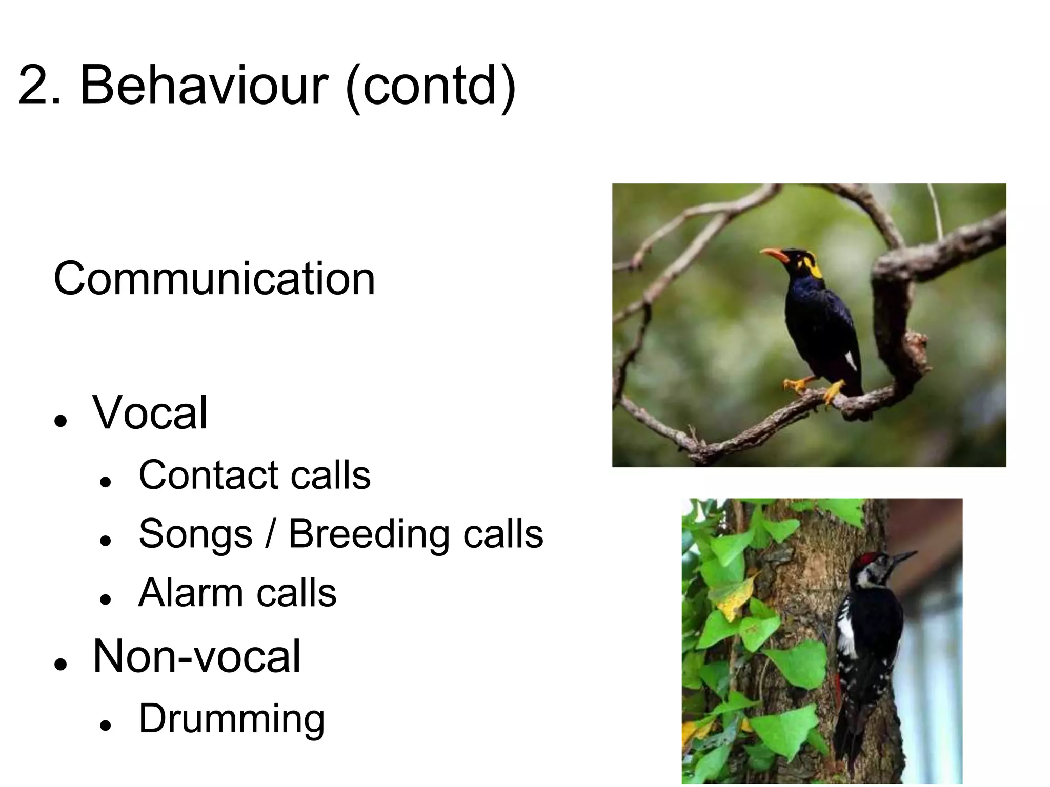 2. Behaviour (contd)
Communication
 Vocal
 Contact calls
 Songs / Breeding calls
 Alarm calls
 Non-vocal
 Drumming
 