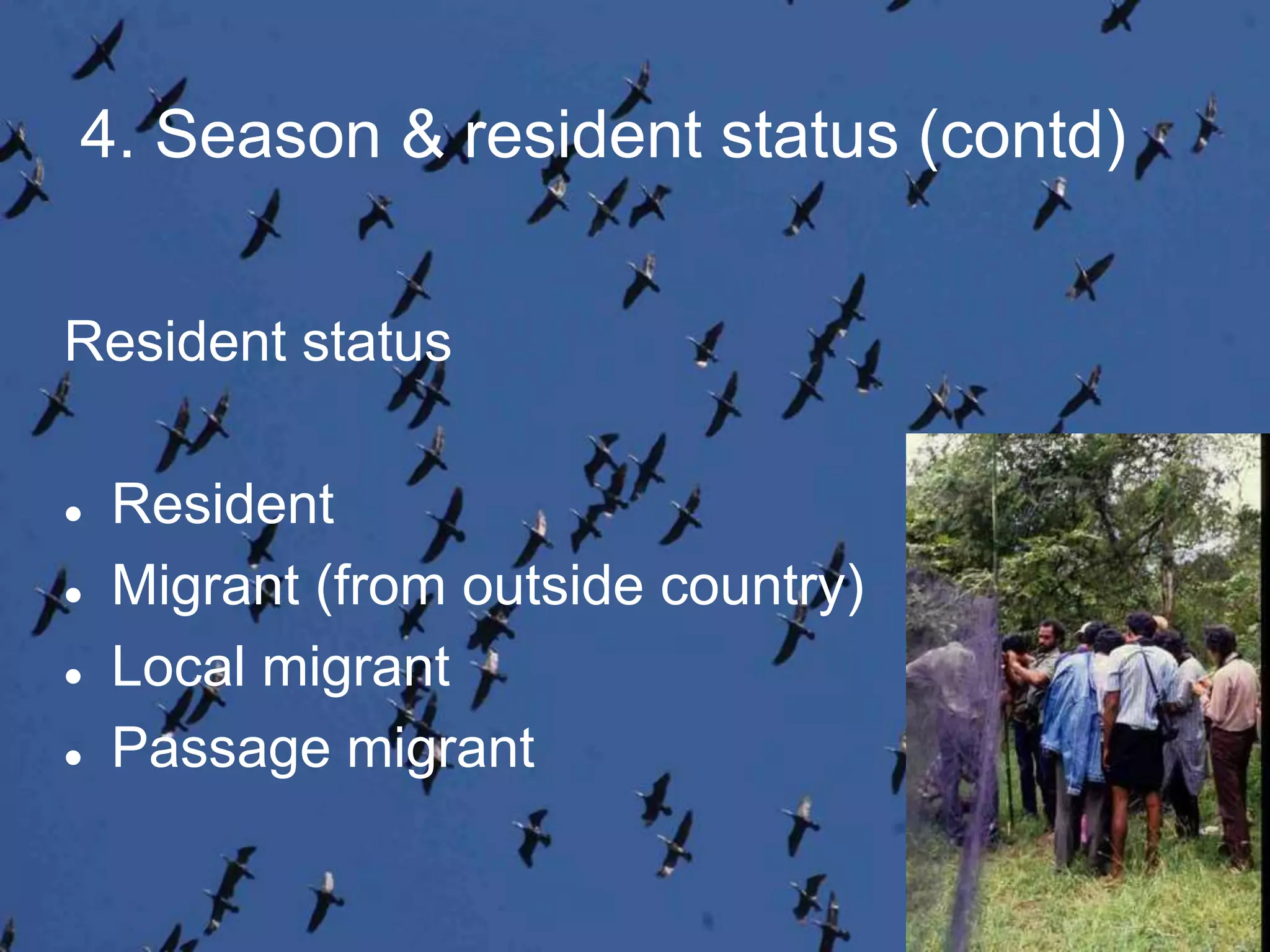 4. Season & resident status (contd)
Resident status
 Resident
 Migrant (from outside country)
 Local migrant
 Passage migrant
 