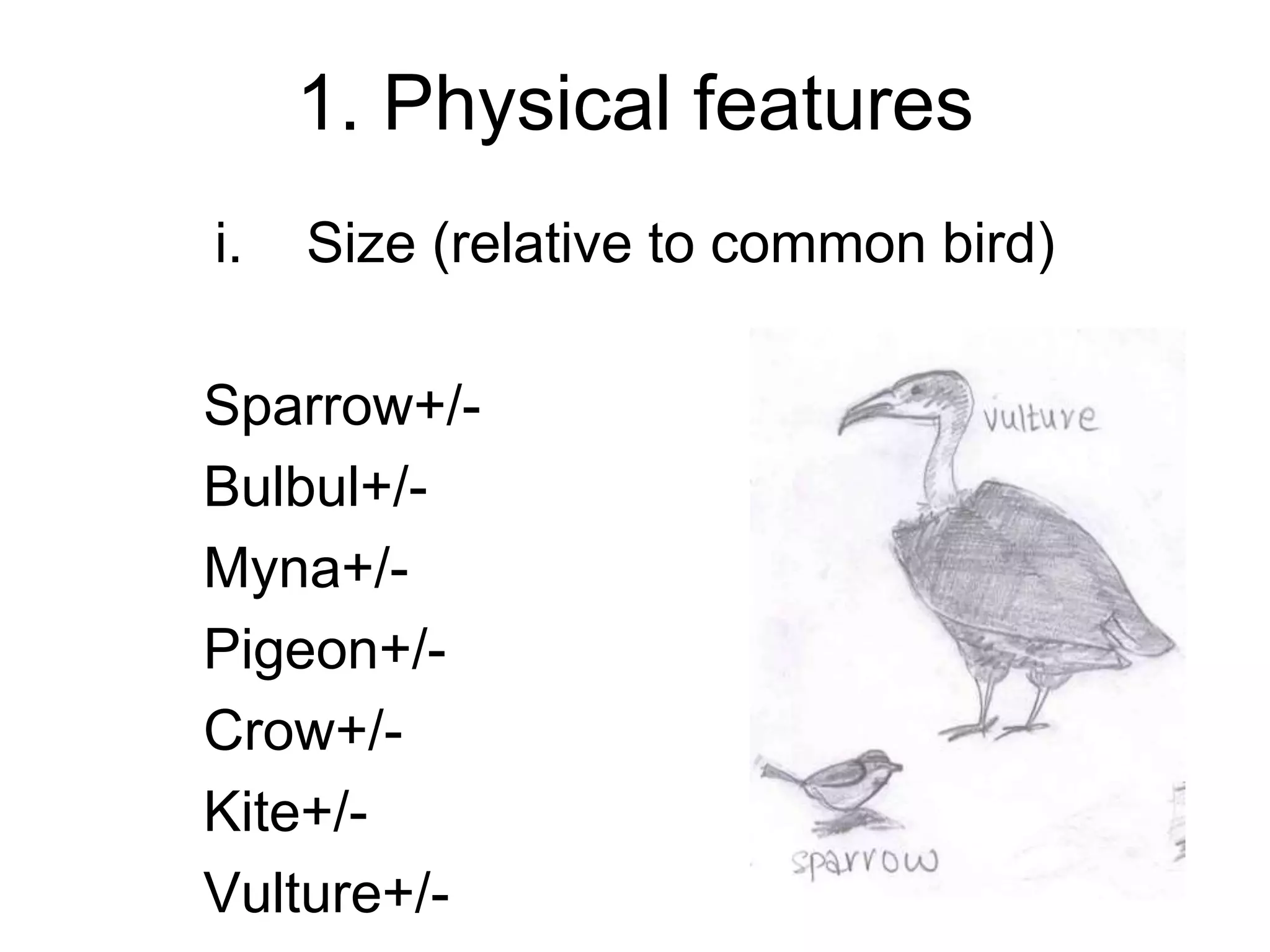 1. Physical features
i. Size (relative to common bird)
Sparrow+/-
Bulbul+/-
Myna+/-
Pigeon+/-
Crow+/-
Kite+/-
Vulture+/-
 