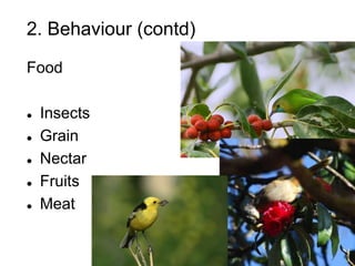 2. Behaviour (contd)
Food
 Insects
 Grain
 Nectar
 Fruits
 Meat
 