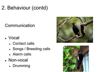 2. Behaviour (contd)
Communication
 Vocal
 Contact calls
 Songs / Breeding calls
 Alarm calls
 Non-vocal
 Drumming
 