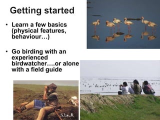 • Learn a few basics
(physical features,
behaviour…)
• Go birding with an
experienced
birdwatcher….or alone
with a field guide
 