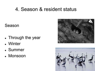 4. Season & resident status
Season
 Through the year
 Winter
 Summer
 Monsoon
 