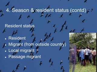 4. Season & resident status (contd)
Resident status
 Resident
 Migrant (from outside country)
 Local migrant
 Passage migrant
 