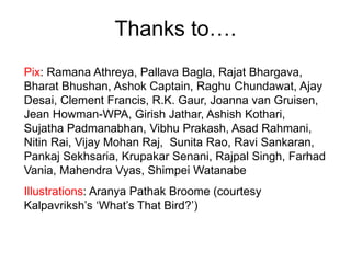 Thanks to….
Pix: Ramana Athreya, Pallava Bagla, Rajat Bhargava,
Bharat Bhushan, Ashok Captain, Raghu Chundawat, Ajay
Desai, Clement Francis, R.K. Gaur, Joanna van Gruisen,
Jean Howman-WPA, Girish Jathar, Ashish Kothari,
Sujatha Padmanabhan, Vibhu Prakash, Asad Rahmani,
Nitin Rai, Vijay Mohan Raj, Sunita Rao, Ravi Sankaran,
Pankaj Sekhsaria, Krupakar Senani, Rajpal Singh, Farhad
Vania, Mahendra Vyas, Shimpei Watanabe
Illustrations: Aranya Pathak Broome (courtesy
Kalpavriksh’s ‘What’s That Bird?’)
 