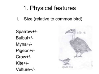 1. Physical features
i. Size (relative to common bird)
Sparrow+/-
Bulbul+/-
Myna+/-
Pigeon+/-
Crow+/-
Kite+/-
Vulture+/-
 