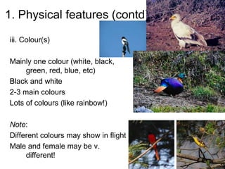 1. Physical features (contd)
iii. Colour(s)
Mainly one colour (white, black,
green, red, blue, etc)
Black and white
2-3 main colours
Lots of colours (like rainbow!)
Note:
Different colours may show in flight
Male and female may be v.
different!
 