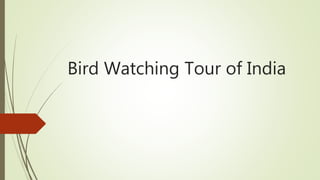 Bird Watching Tour of India
 