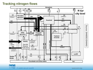 Atmosphere
Peri-urban
agriculture
Urban
agriculture
Saw-mills
Breweries
Poultry farms
Transport/
Distribution
Landfill
Fertilizer 1
Fertilizer 2
Food 1
Food 2
Food 3
Consumer
products 1
Compost 1
SW10
Excreta3
SW3
SW5
SW9
SW 11
SW12
Excreta1
WW1
Gas3
WW2
BS 1
Raw
material
SW 13
Food 4
Consumer
products 2
Compost 2
System
border
Industry
Excreta 2Wood1
Wood2
120
1150
13
3200
1700
3200
680
43
230
80
4750
230
530
1010
130
830
220
640
2500
15
90
530
700
<10
18
530
Air1
Air2
Gas5
Gas6
Gas7
400
85
<10
<10
560
Gas1
Gas2
1000
30
<10
Soil
SW2
640
Leachate1
50
Leachate2
110
WW3
150
SW6
SW8
7
130
Co-composting
Household
Treatment
of excreta
Scenario 1
Groundwater and surface waters
city level
N t/yr
Source:SANDEC/EAWAG
Tracking nitrogen flows
 