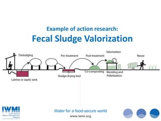 www.iwmi.org
Water for a food-secure world
Example of action research:
Fecal Sludge Valorization
 