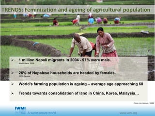 TRENDS: Feminization and ageing of agricultural population
 1 million Nepali migrants in 2004 - 97% were male.
World Bank. 2009
 26% of Nepalese households are headed by females.
2011 Census
 World’s farming population is ageing – average age approaching 60
 Trends towards consolidation of land in China, Korea, Malaysia…
Photo: Jim Holmes / IWMI
 