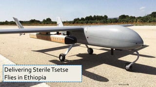 4/14/16 Biren Gandhi
Delivering SterileTsetse
Flies in Ethiopia
 