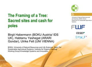 The Framing of a Tree:  Sacred sites and cash for poles Birgit Habermann (BOKU Austria/ IDS UK), Habtamu Yeshegat (ARARI Gondar), Ulrike Felt (UNI VIENNA) BOKU, University of Natural Resources and Life Sciences, Dept. For Sustainable Agricultural Systems, Institute for Organic Farming, Working Group Knowledge Systems and Innovation 05.10.10 