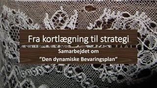 Fra kortlægning til strategi
Samarbejdet om
”Den dynamiske Bevaringsplan”
 