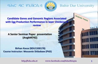 Candidate Genes and Genomic Regions Associated
with Egg Production Performance in layer Chickens: A
review
Birhan Kassa (BDU1500178)
Course Instructor: Wossenie Shibabaw (PhD)
A Senior Seminar Paper presentation
(AngbM742)
http://bdu.edu.et www.facebook.com/bduethiopia 1
 