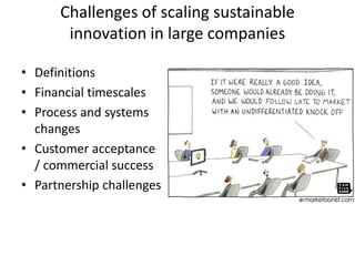 Challenges of scaling sustainable
innovation in large companies
• Definitions
• Financial timescales
• Process and systems...