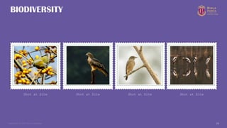 Copyright © 2025 Birla Estates 10
BIODIVERSITY
Shot at Site Shot at Site Shot at Site Shot at Site
 