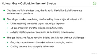 Natural gas and LNG in the Future of Global Energy | PDF