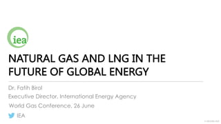 © OECD/IEA 2018
NATURAL GAS AND LNG IN THE
FUTURE OF GLOBAL ENERGY
Dr. Fatih Birol
Executive Director, International Energy Agency
IEA
World Gas Conference, 26 June
 