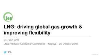 © OECD/IEA 2018
LNG: driving global gas growth &
improving flexibility
Dr. Fatih Birol
LNG Producer-Consumer Conference – Nagoya – 22 October 2018
IEA
 