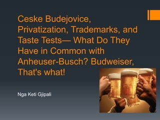 Ceske Budejovice,
Privatization, Trademarks, and
Taste Tests— What Do They
Have in Common with
Anheuser-Busch? Budweiser,
That's what!
Nga Keti Gjipali
 