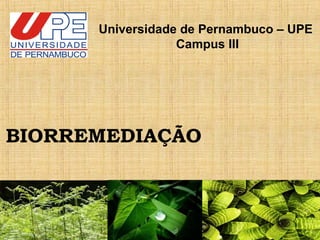 BIORREMEDIAÇÃO
Universidade de Pernambuco – UPE
Campus III
 