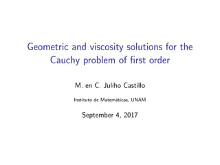 Geometric and viscosity solutions for the
Cauchy problem of ﬁrst order
Juliho Castillo, M.Sc.
Instituto de Matem´aticas, UNAM
Doctoral Examination: August 30, 2017
 