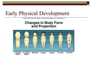 Early Physical Development
 