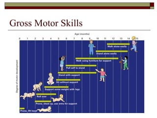 Gross Motor Skills
 