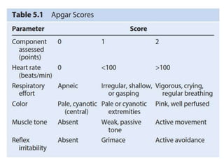 Birth Asphyxia.pptx