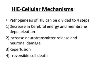 HIE-Cellular Mechanisms:
• Pathogenesis of HIE can be divided to 4 steps
1)Decrease in Cerebral energy and membrane
depolarization
2)Increase neurotransmitter release and
neuronal damage
3)Reperfusion
4)Irreversible cell death
 