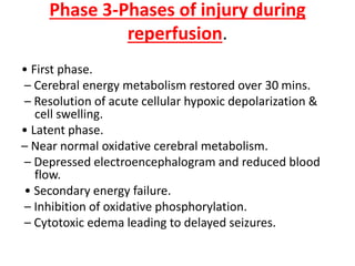 Phase 3-Phases of injury during
reperfusion.
• First phase.
– Cerebral energy metabolism restored over 30 mins.
– Resolution of acute cellular hypoxic depolarization &
cell swelling.
• Latent phase.
– Near normal oxidative cerebral metabolism.
– Depressed electroencephalogram and reduced blood
flow.
• Secondary energy failure.
– Inhibition of oxidative phosphorylation.
– Cytotoxic edema leading to delayed seizures.
 