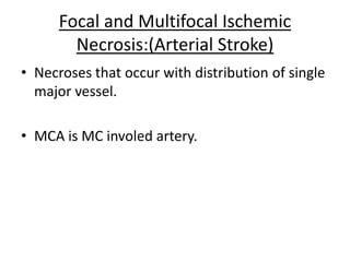 Focal and Multifocal Ischemic
Necrosis:(Arterial Stroke)
• Necroses that occur with distribution of single
major vessel.
• MCA is MC involed artery.
 