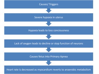 Heart rate is decreased as myocardium reverts to anaerobic metabolism
Causes fetus into Primary Apnea
Lack of oxygen leads to decline or stop function of neurons
Hypoxia leads to loss conciousness
Severe hypoxia in uterus
Causes/ Triggers
 