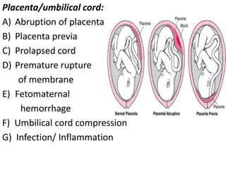 Placenta/umbilical cord:
A) Abruption of placenta
B) Placenta previa
C) Prolapsed cord
D) Premature rupture
of membrane
E) Fetomaternal
hemorrhage
F) Umbilical cord compression
G) Infection/ Inflammation
 