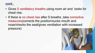 • Gives 5 ventilatory breaths using room air and looks for
chest rise.
• If there is no chest rise after 5 breaths ,take corrective
measures(corrects the position/sucks mouth and
nose/checks the seal/gives ventilation with increased
pressure)
 